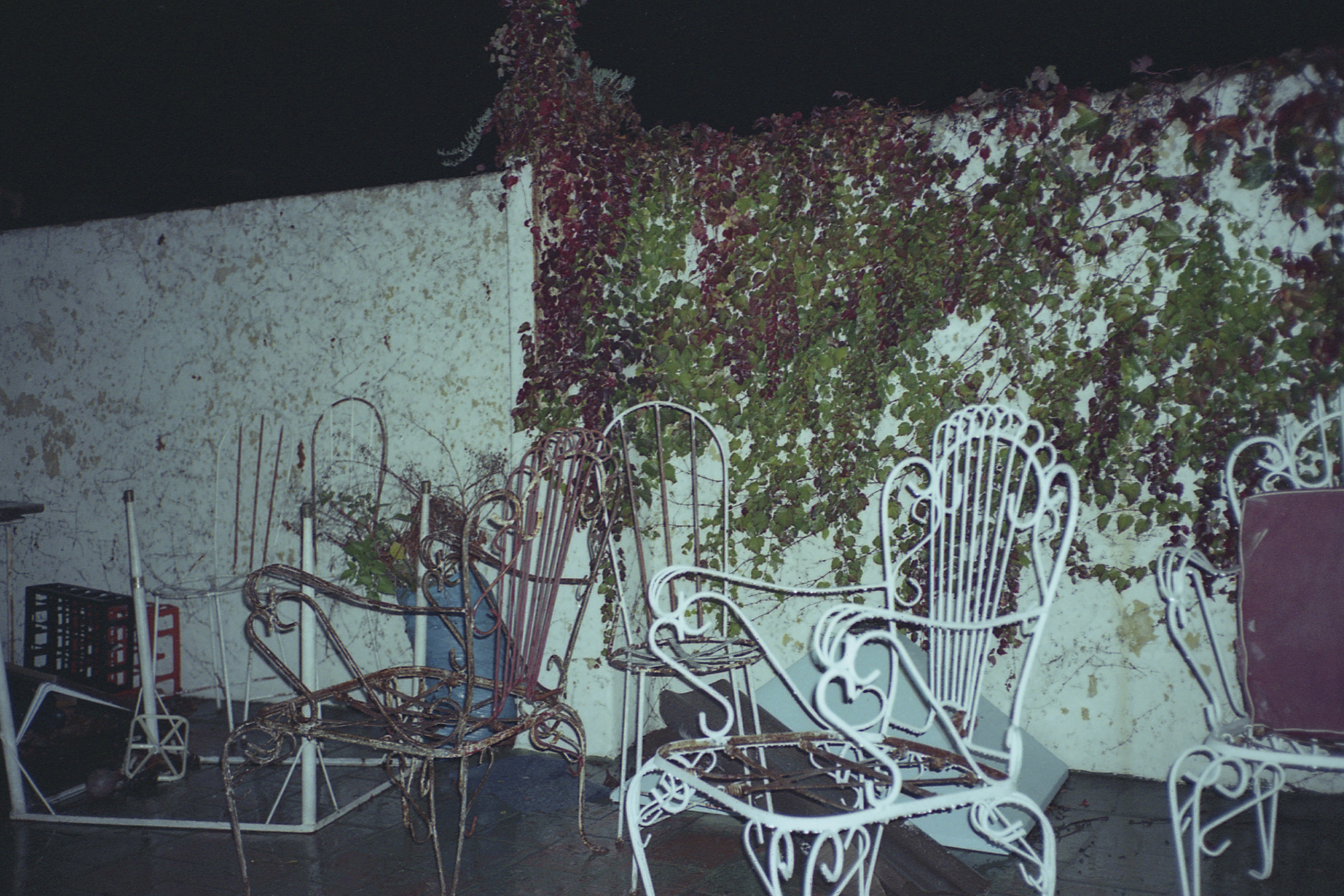 Fotos - Loda - Lucila Penedo