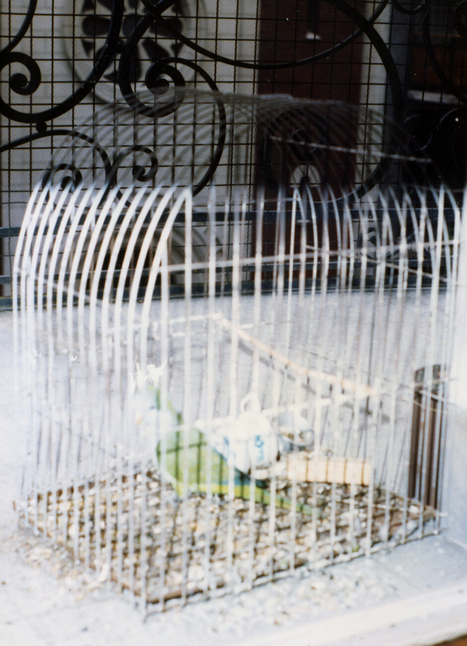 Fotos - Loda - Lucila Penedo