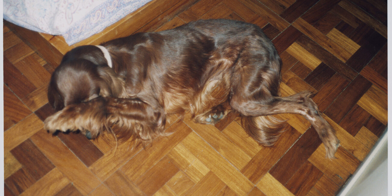 Libro - Loda - Lucila Penedo