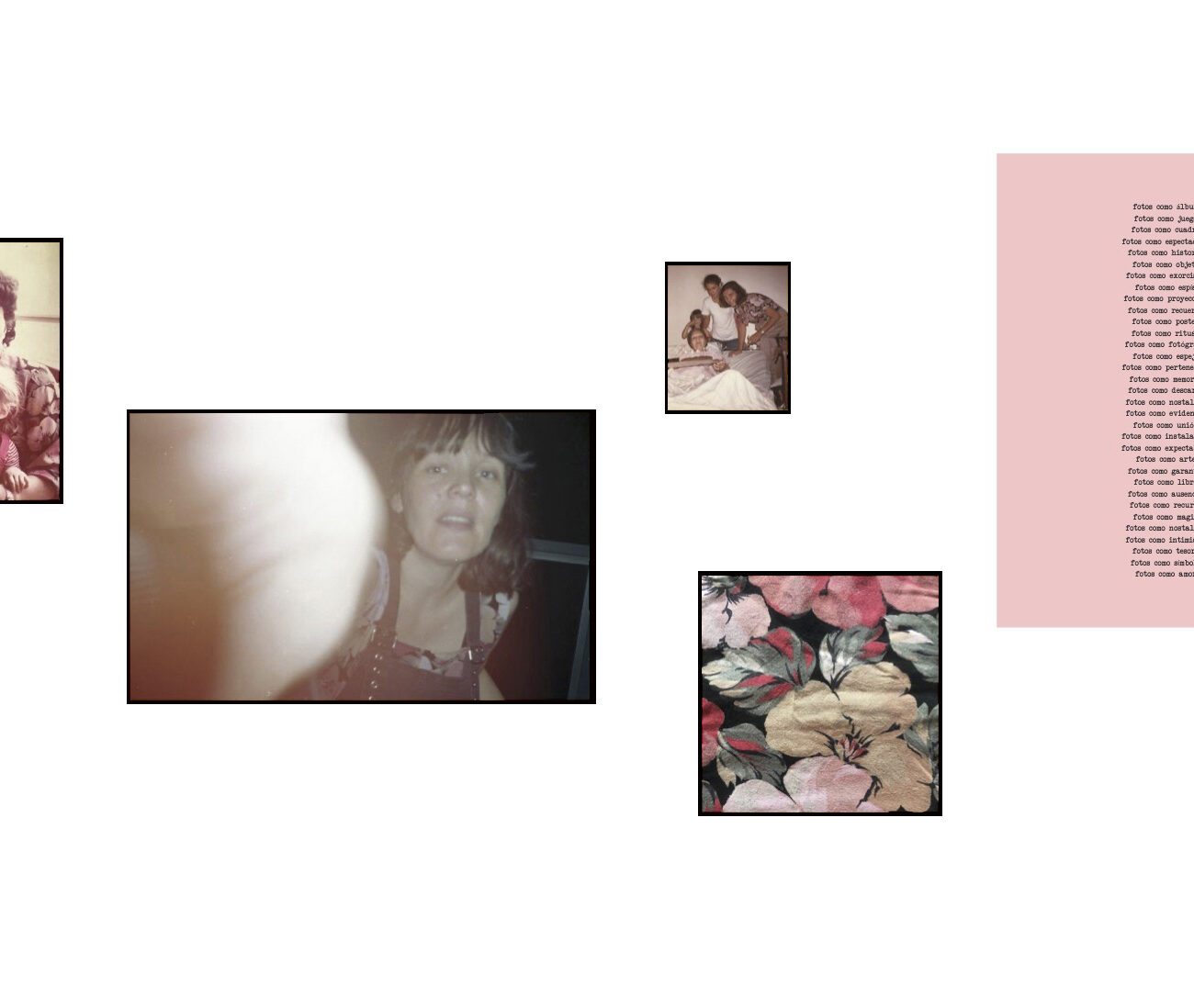 Políptico - Las flores y las fotos - Loda - Lucila Penedo