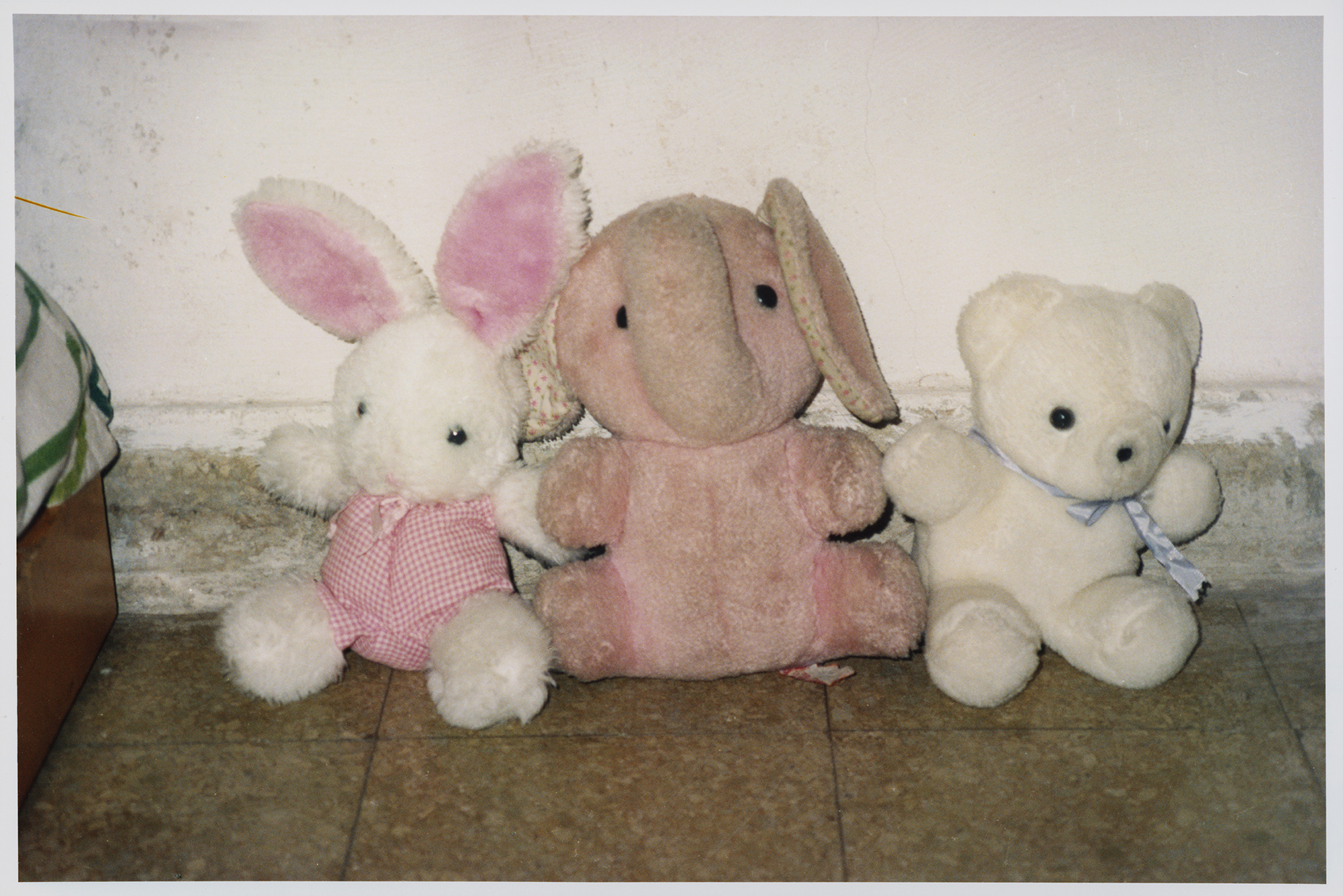 Fotos - Loda - Lucila Penedo